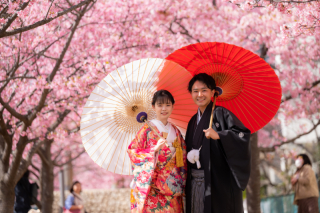 華雅苑　浅草橋本店 _【２月下旬～３月上旬限定】河津桜ロケ
