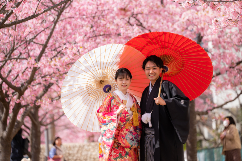 華雅苑　浅草橋本店 _【２月下旬～３月上旬限定】河津桜ロケ