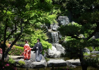 華雅苑　浅草橋本店 _【5月～6月】花畑記念庭園