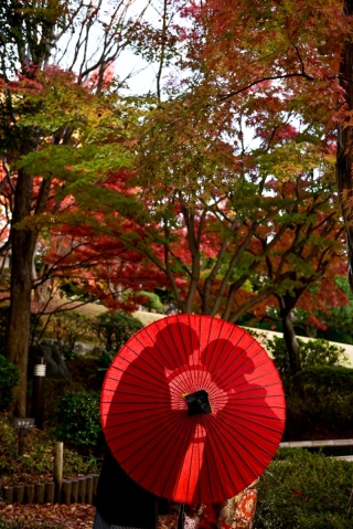 華雅苑　浅草橋本店 _【紅葉シーズン】花畑記念庭園