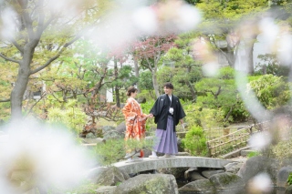 華雅苑　浅草橋本店 _【3月～4月上旬】桜season