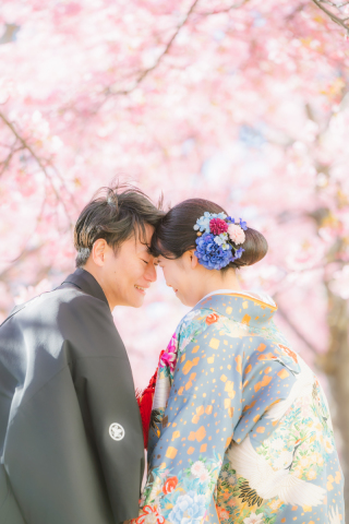 華雅苑　浅草橋本店 _【２月下旬～３月上旬限定】河津桜ロケ