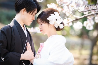 華雅苑　浅草橋本店 _【3月～4月上旬】桜season