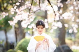 華雅苑　浅草橋本店 _【3月～4月上旬】桜season