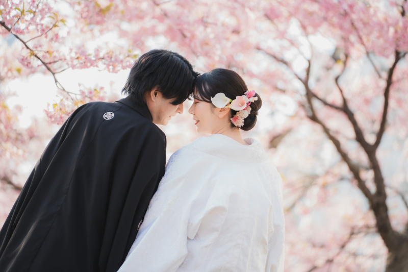 河津桜プラン✿【2/24~3/10までの平日限定】河津桜+旧安田庭園での撮影♡『弐点プラン』 和装2着/データ230枚納品