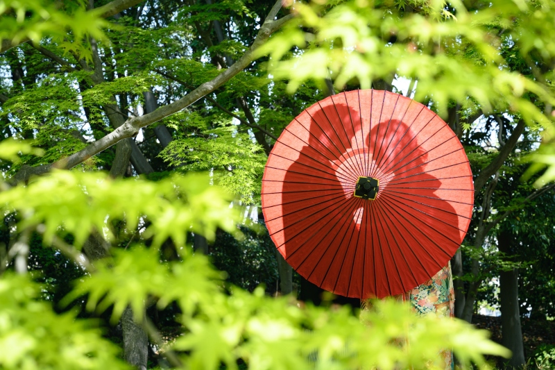 【4/6～5/10】新緑CP・ウェルカムボード付き✨洋装＋和装撮影♡『和洋弐点プラン』　衣装２着ずつ／データ210枚納品