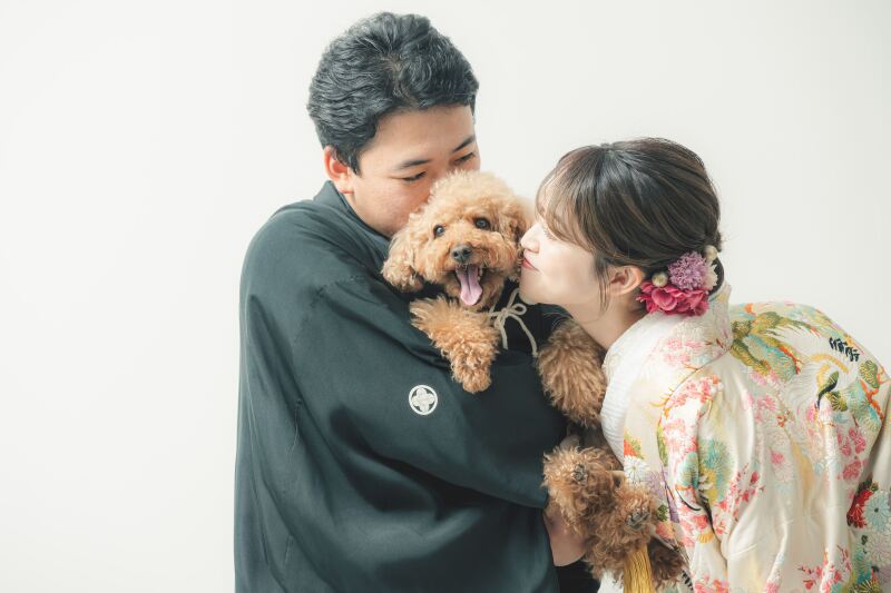 【平日15:00/土日14:00限定】ペットと一緒に撮影♡『スタジオ壱点プラン』データ80枚/和装1着/新婦ヘア&メイク付き
