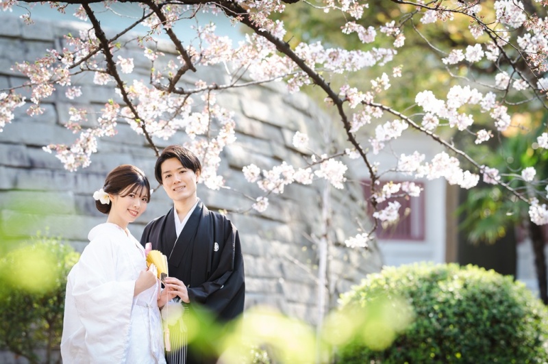 【3/26～4/10の平日限定】さくらと撮れる✨旧安田庭園＋横網町公園＋スタジオ撮影♡『弐点プラン』和装2着／データ230枚納品