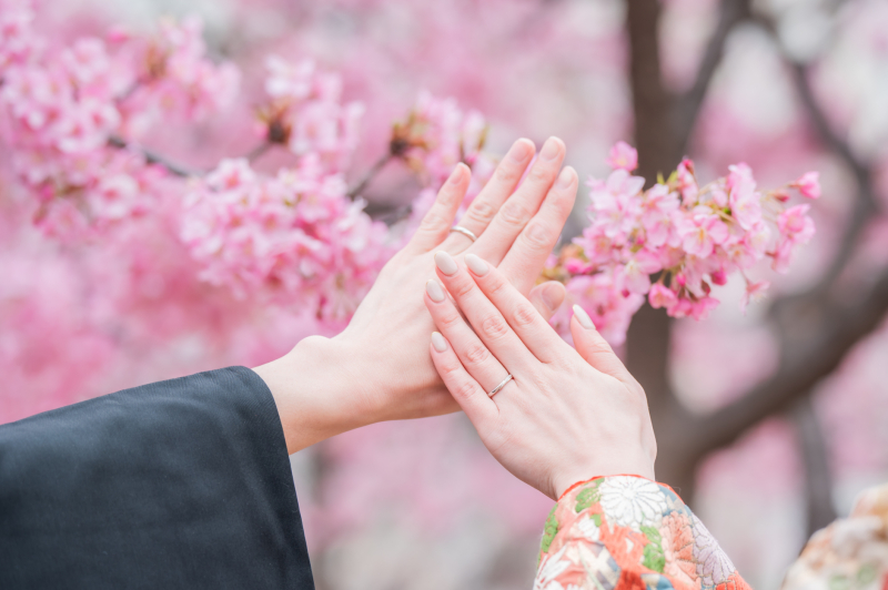 河津桜プラン✿【2/24~3/10までの平日限定】河津桜+旧安田庭園での撮影♡『弐点プラン』 和装2着/データ230枚納品