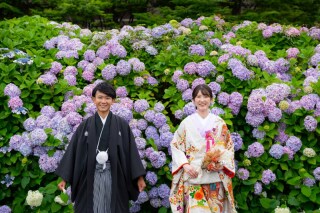 【６月撮影】紫陽花キャンペーン
