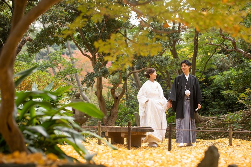 イチョウの絨毯♡