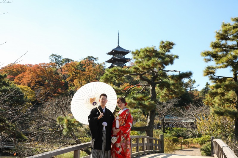 青空広がる庭園