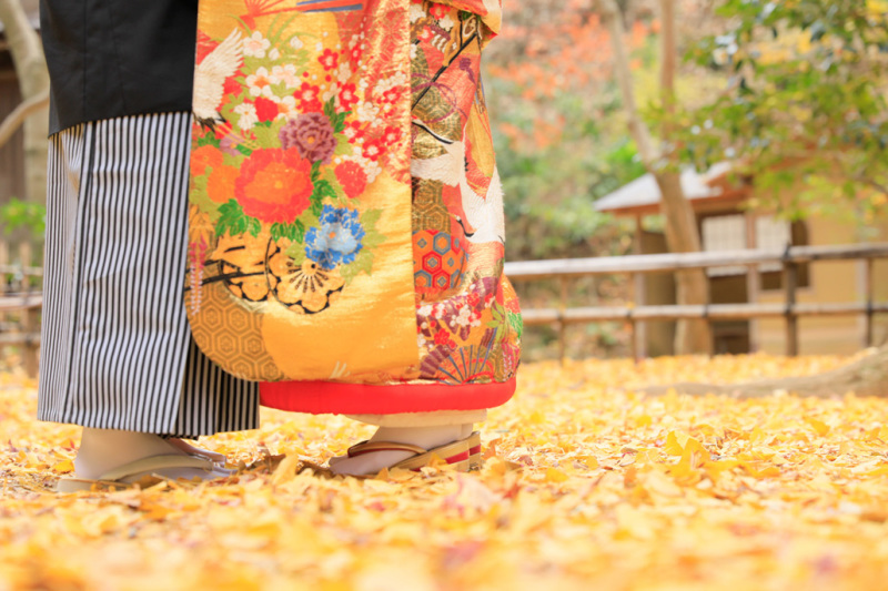 イチョウの絨毯で♪