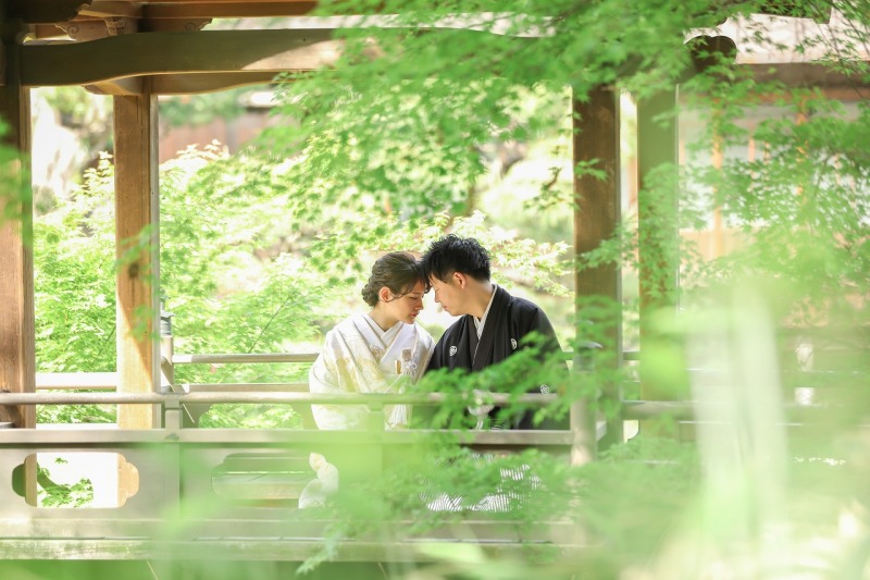 東屋でおでこをつける