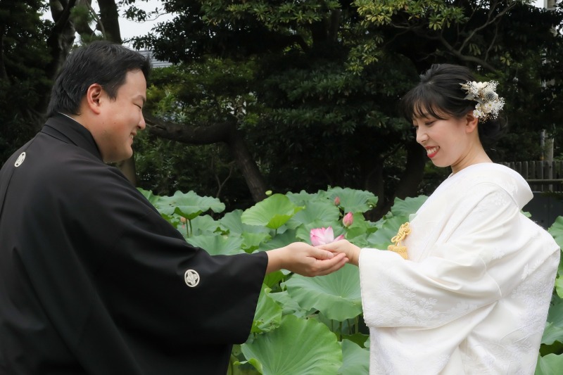蓮の花