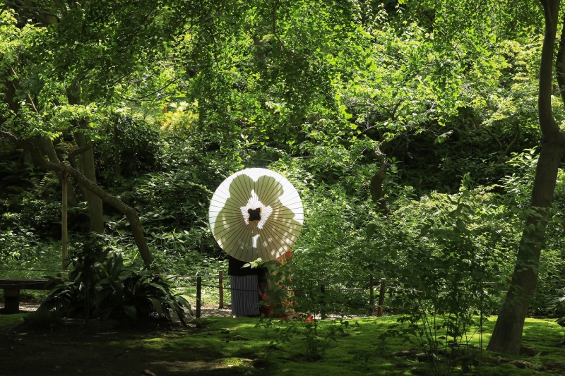 傘を使用した変化のある撮影