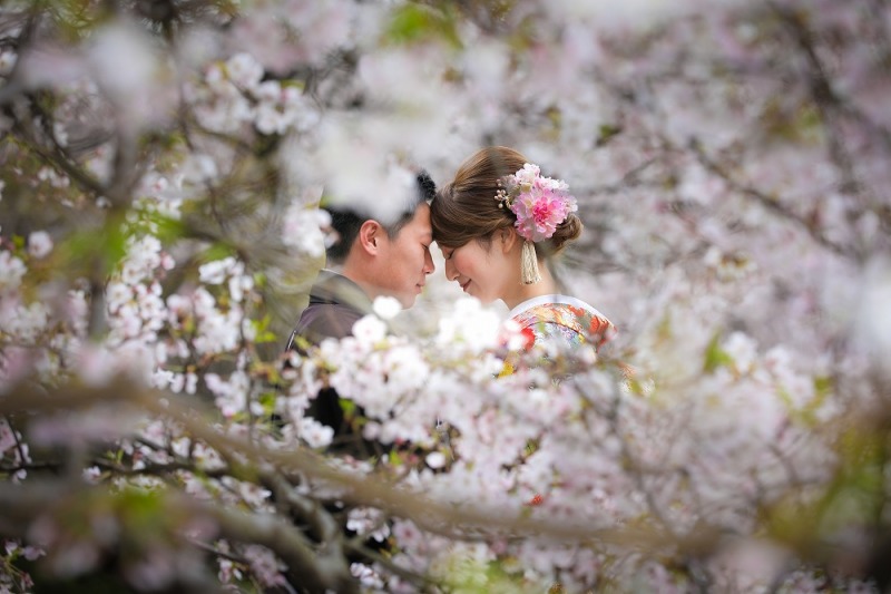 桜越しでおでことおでこ