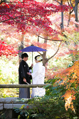 大満足の撮影でした