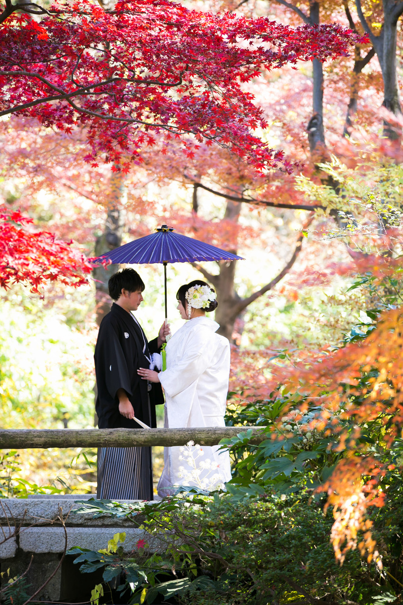 大満足の撮影でした