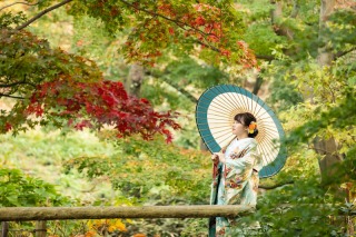 きれいにに撮っていただきました。