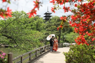 桜が終わって・・・