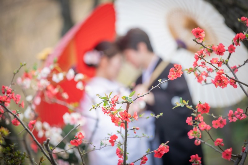 紅白が可愛いお花と一緒に