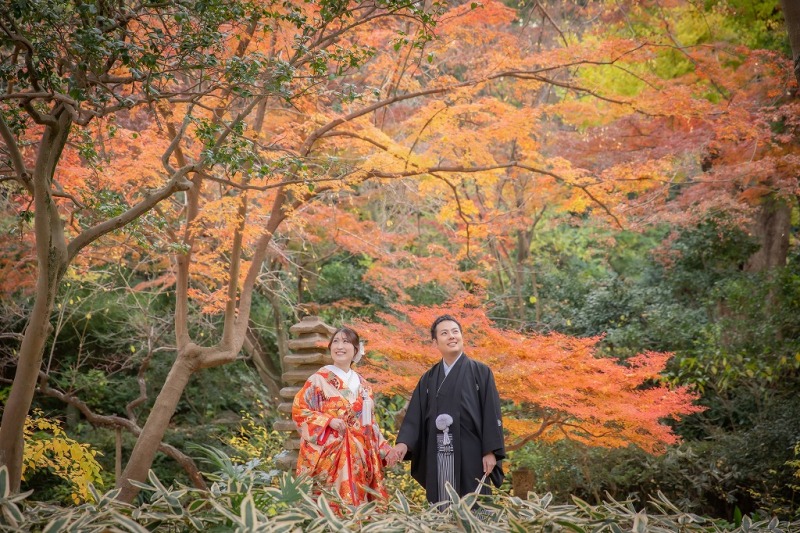 紅葉を眺めて