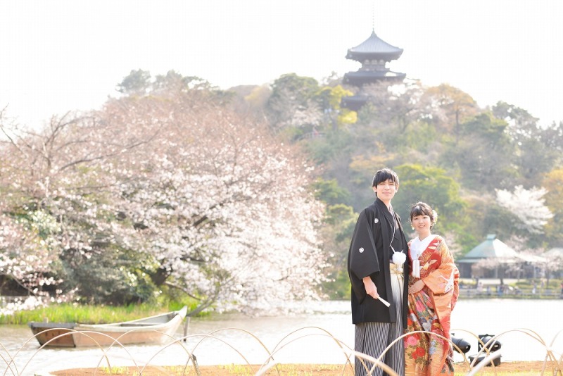 桜と三重塔を背景に