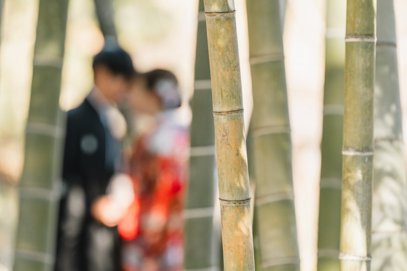 竹林