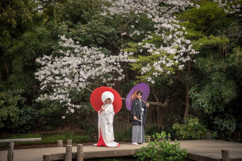傘を持ってしっとりした雰囲気も