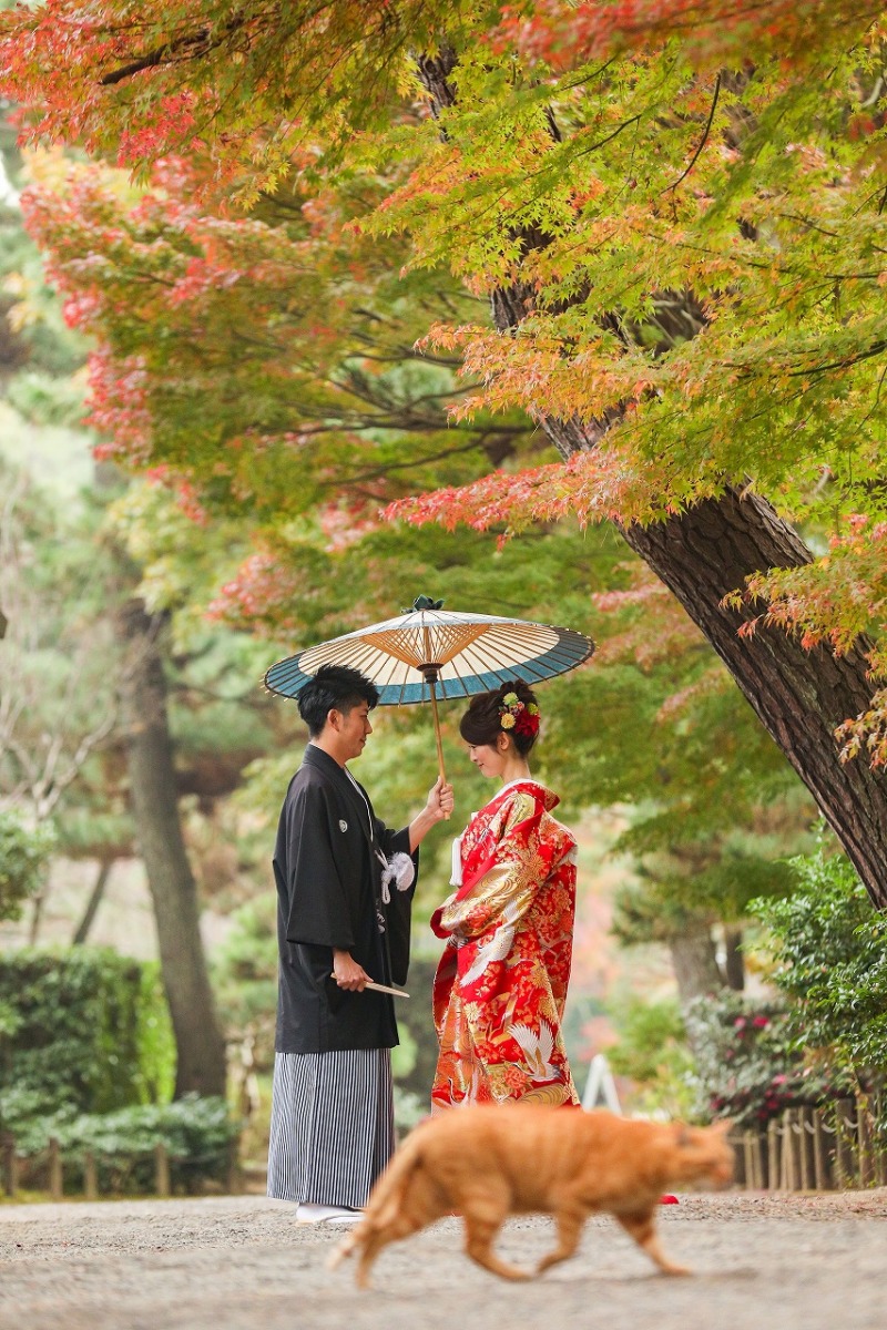 通りま～す！！