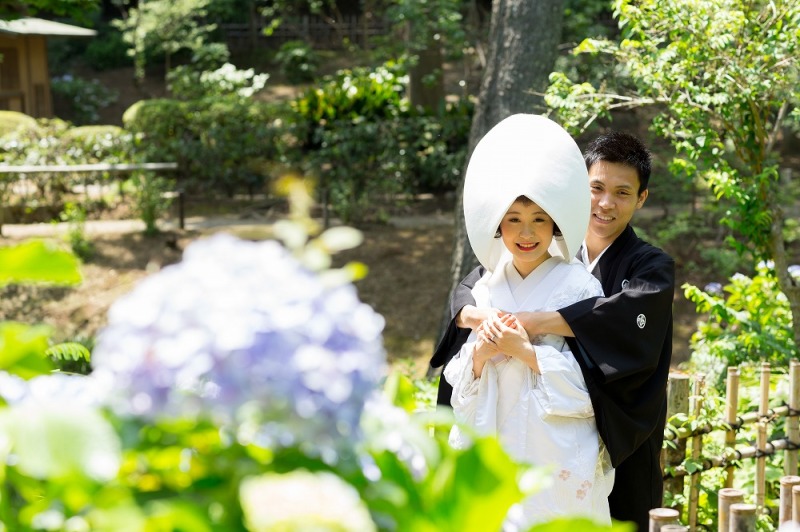 アジサイ越しで