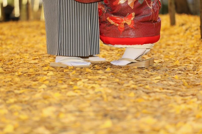 一面に広がる黄色の絨毯