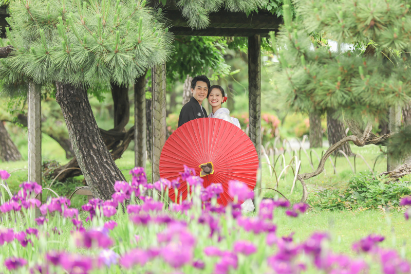 綺麗に映える花菖蒲