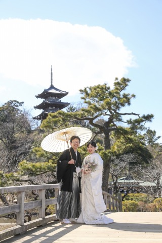 プロのアドバイス。