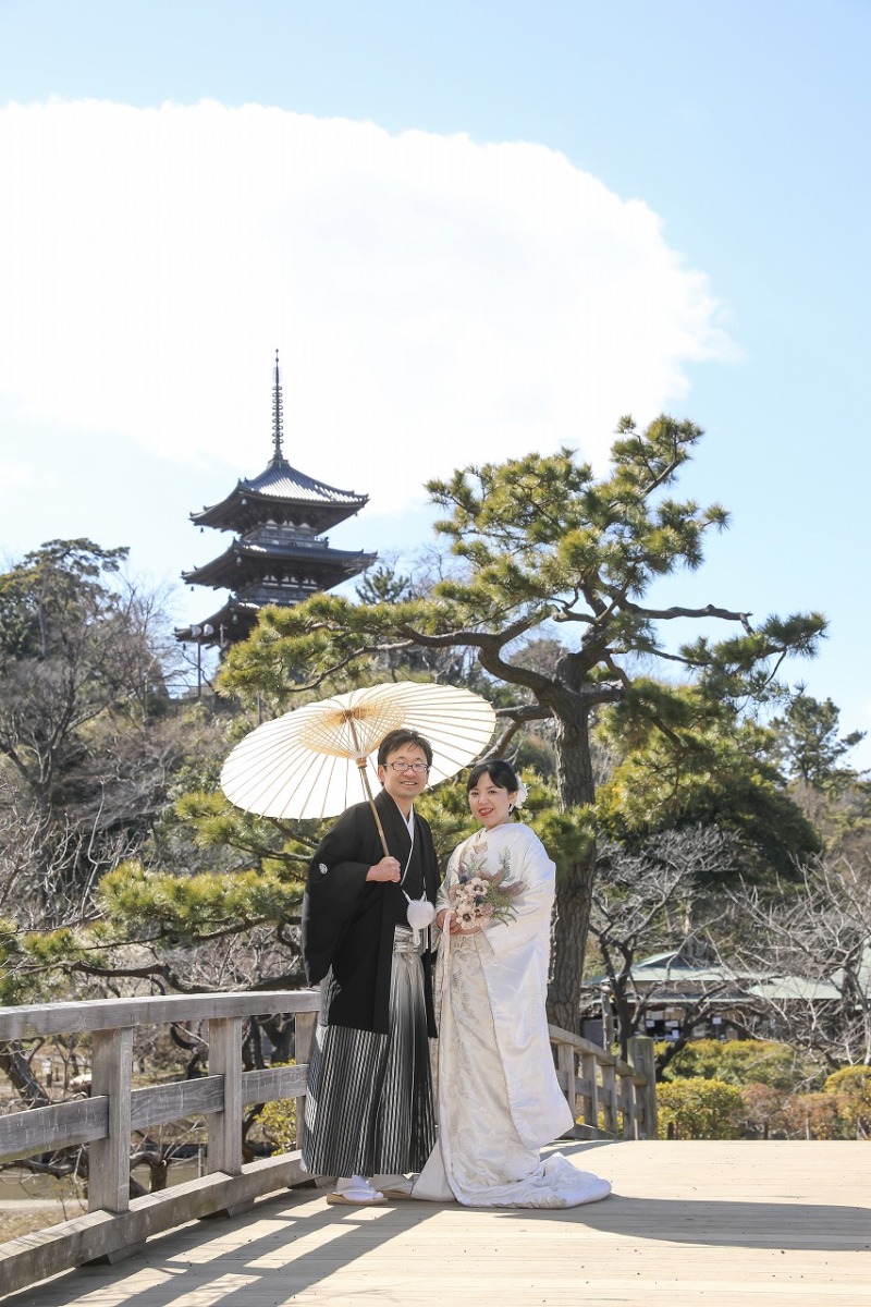 プロのアドバイス。