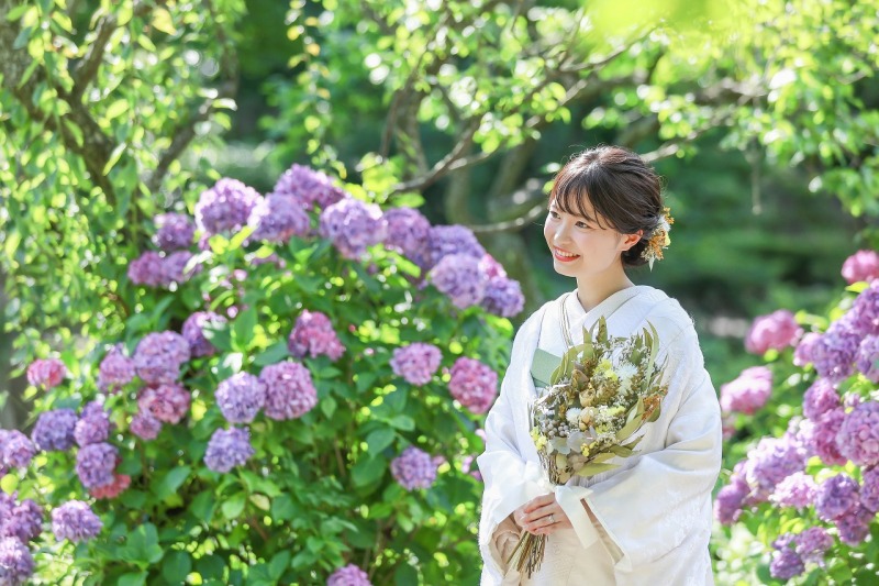 紫陽花