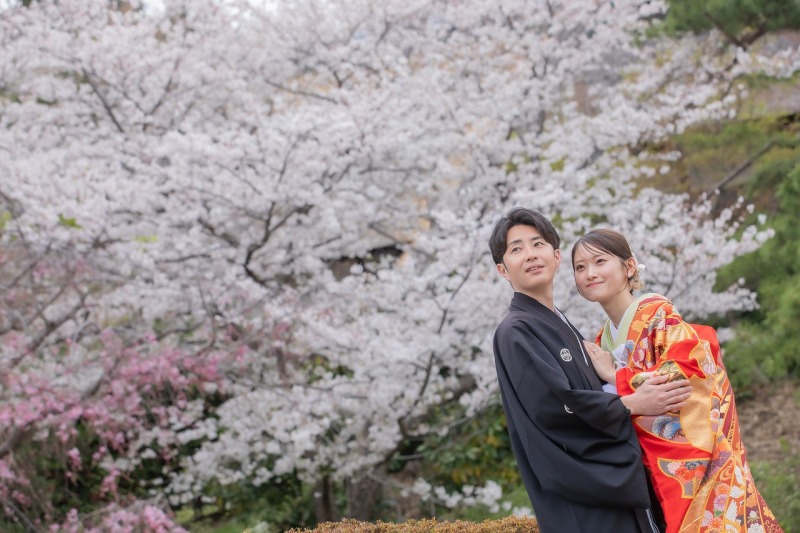 桜の見頃は3月下旬から4月上旬
