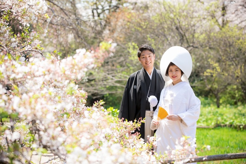 桜が満開の三溪園で撮影頂きました！