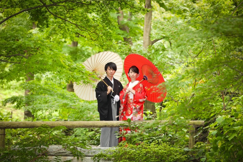 緑と傘の絶妙な色合い