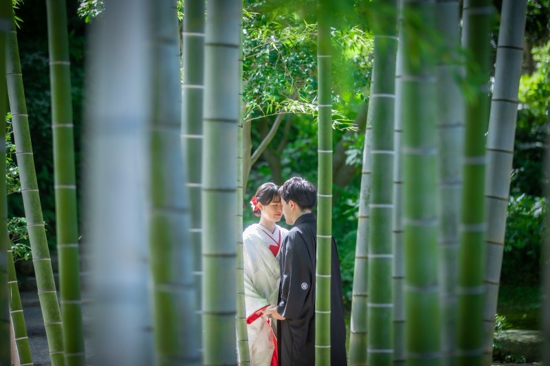 竹林にて