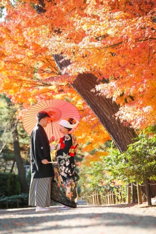 満足のいく写真が撮れました、ありがとうございます！