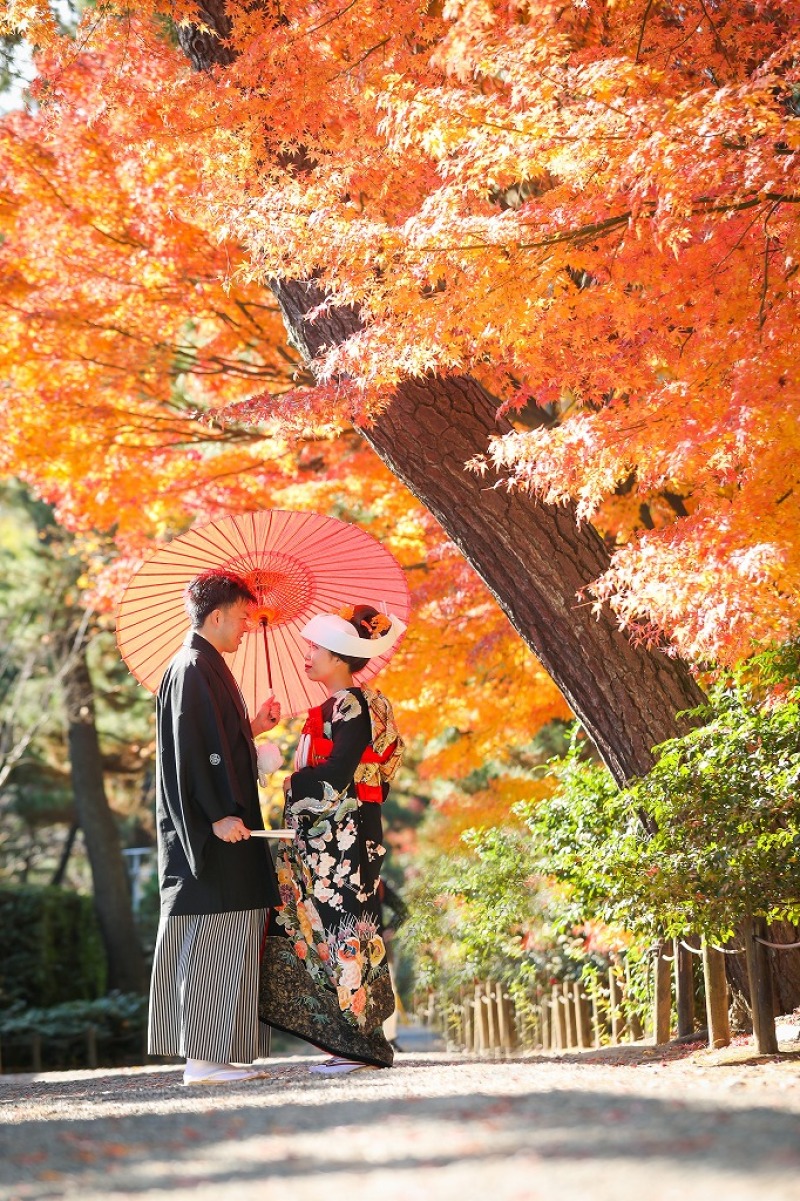 満足のいく写真が撮れました、ありがとうございます!