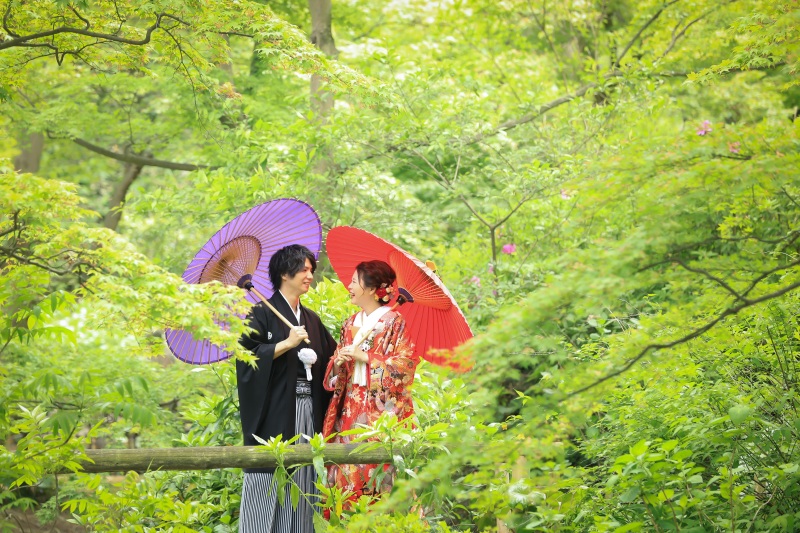 全面の新緑！！！！