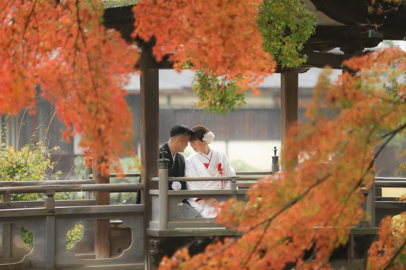 おでこをくっつけて