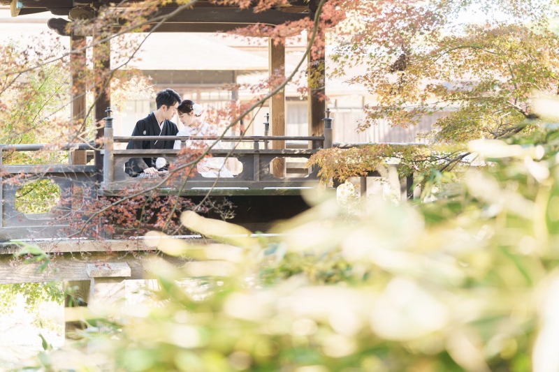 木々の隙間から