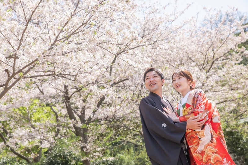 ベストシーズン