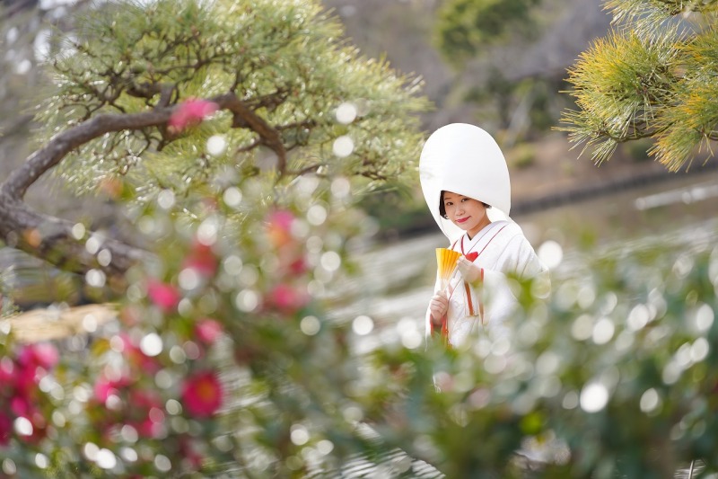 山茶花(さざんか)