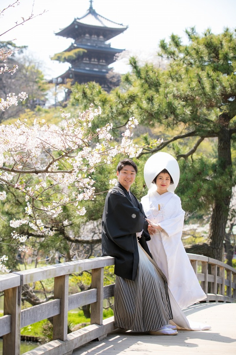 桜と塔と太鼓橋