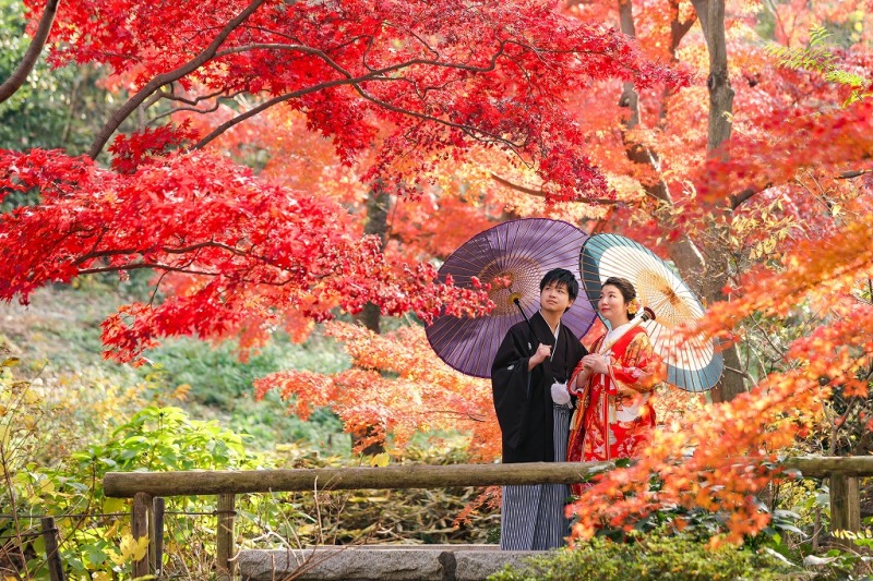 どこを見ても紅葉